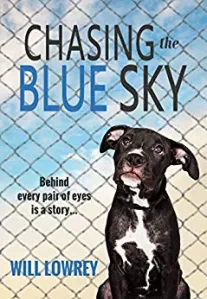 Chasing the Blue Sky – Redaktionelle Rezension – Das Buchrezensionsverzeichnis